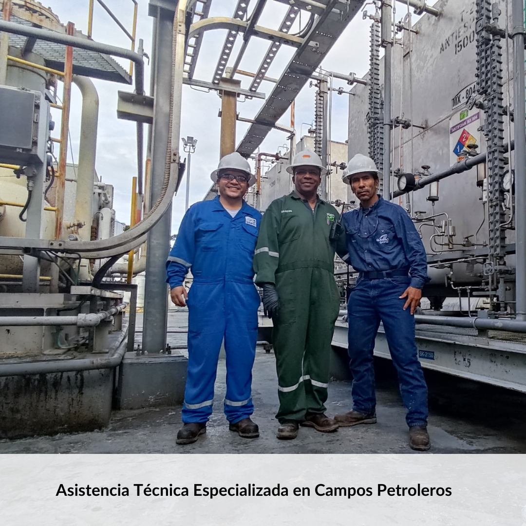 Servicios de Especialidades Químicas con Asistencia Técnica